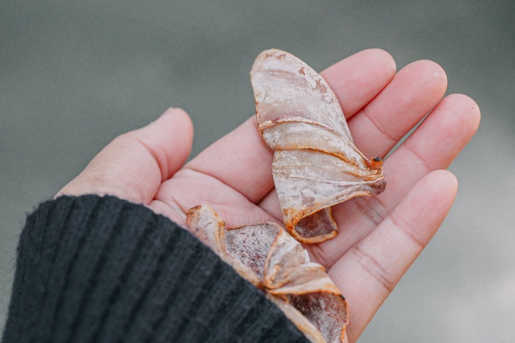 萬華阿嬌姨烤魷魚：傳統炭火燒烤魷魚攤/食尚玩家推薦 @女子的休假計劃