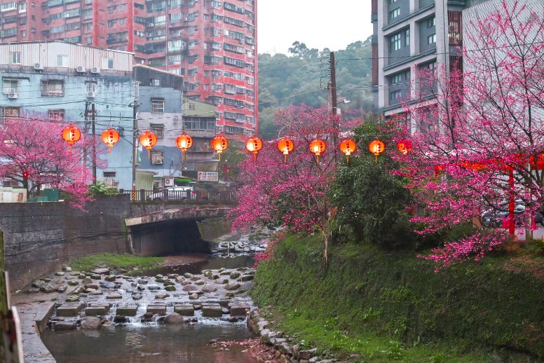 汐止櫻花大道｜康誥坑溪畔賞櫻景點(交通) @女子的休假計劃