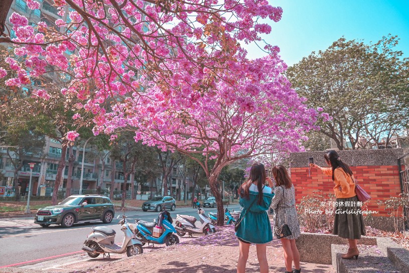 高雄民權國小洋紅風鈴木｜最美洋紅風鈴木搭捷運就能到(交通) @女子的休假計劃