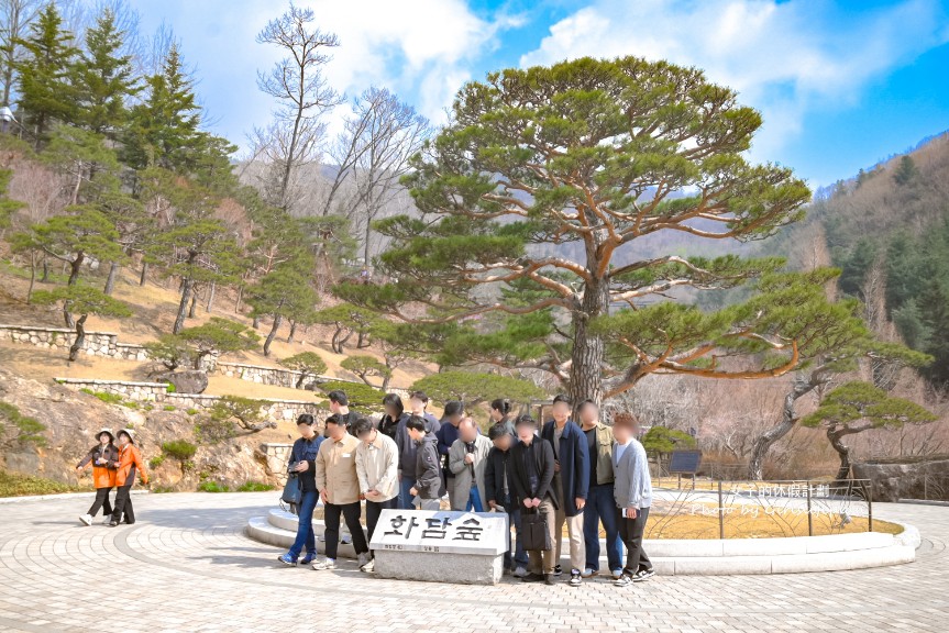 韓國景點京畿道一日遊｜和談林賞櫻賞楓、光明洞窟 @女子的休假計劃