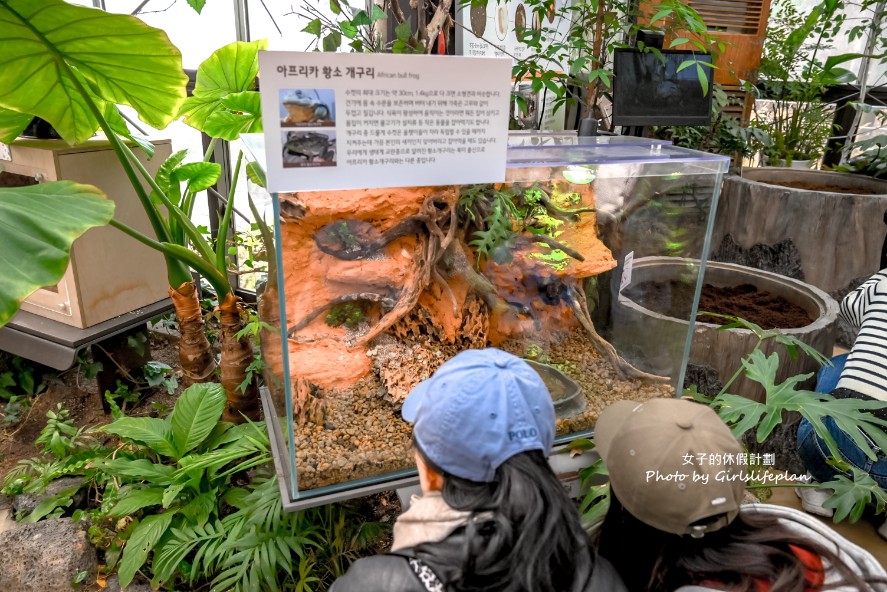 韓國景點京畿道一日遊｜和談林賞櫻賞楓、光明洞窟 @女子的休假計劃