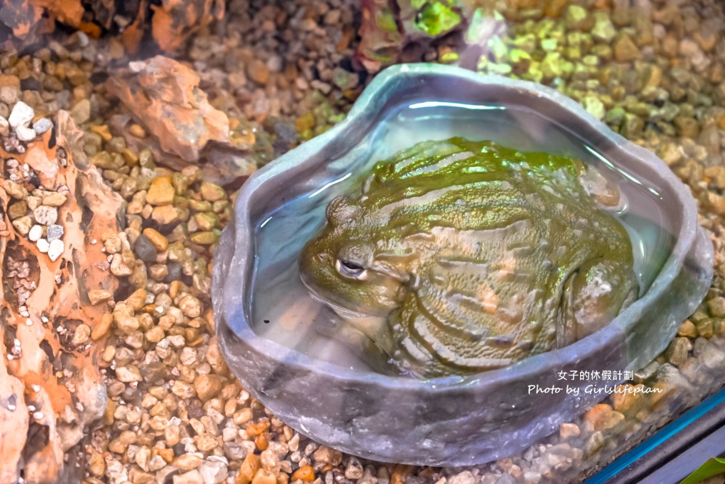 韓國景點京畿道一日遊｜和談林賞櫻賞楓、光明洞窟 @女子的休假計劃