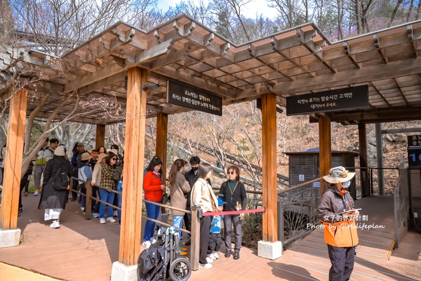 韓國景點京畿道一日遊｜和談林賞櫻賞楓、光明洞窟 @女子的休假計劃