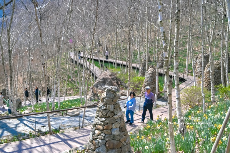 韓國景點京畿道一日遊｜和談林賞櫻賞楓、光明洞窟 @女子的休假計劃