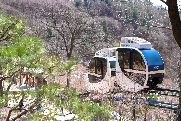 韓國景點京畿道一日遊｜和談林賞櫻賞楓、光明洞窟 @女子的休假計劃