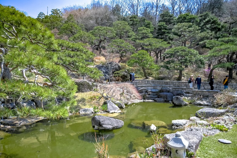 韓國景點京畿道一日遊｜和談林賞櫻賞楓、光明洞窟 @女子的休假計劃