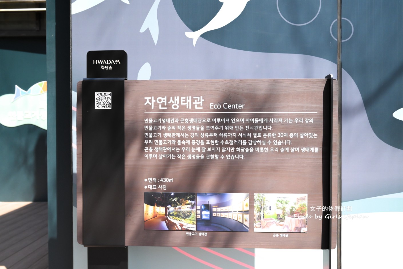 韓國景點京畿道一日遊｜和談林賞櫻賞楓、光明洞窟 @女子的休假計劃