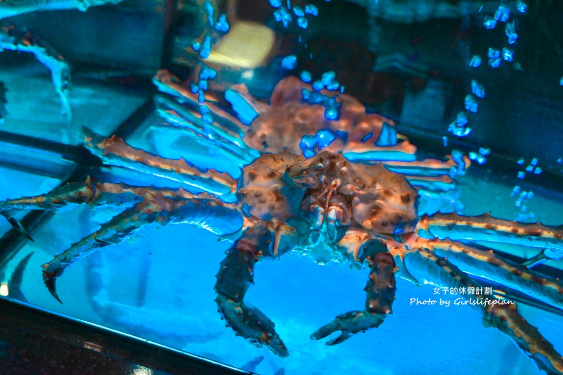 但馬家涮涮鍋二館|連續七年米其林推薦(菜單) @女子的休假計劃 但馬家涮涮鍋二館|連續七年米其林推薦(菜單) @女子的休假計劃