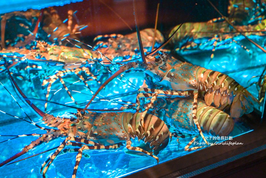 但馬家涮涮鍋二館|連續七年米其林推薦(菜單) @女子的休假計劃 但馬家涮涮鍋二館|連續七年米其林推薦(菜單) @女子的休假計劃