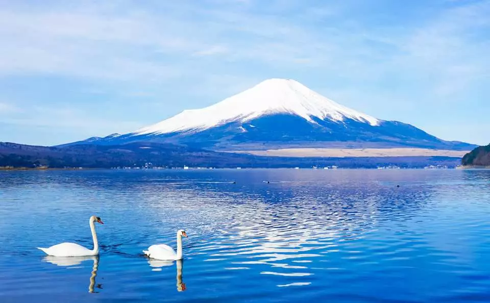 富士山雙湖溫泉一日遊，kkday一日遊懶人包 @女子的休假計劃