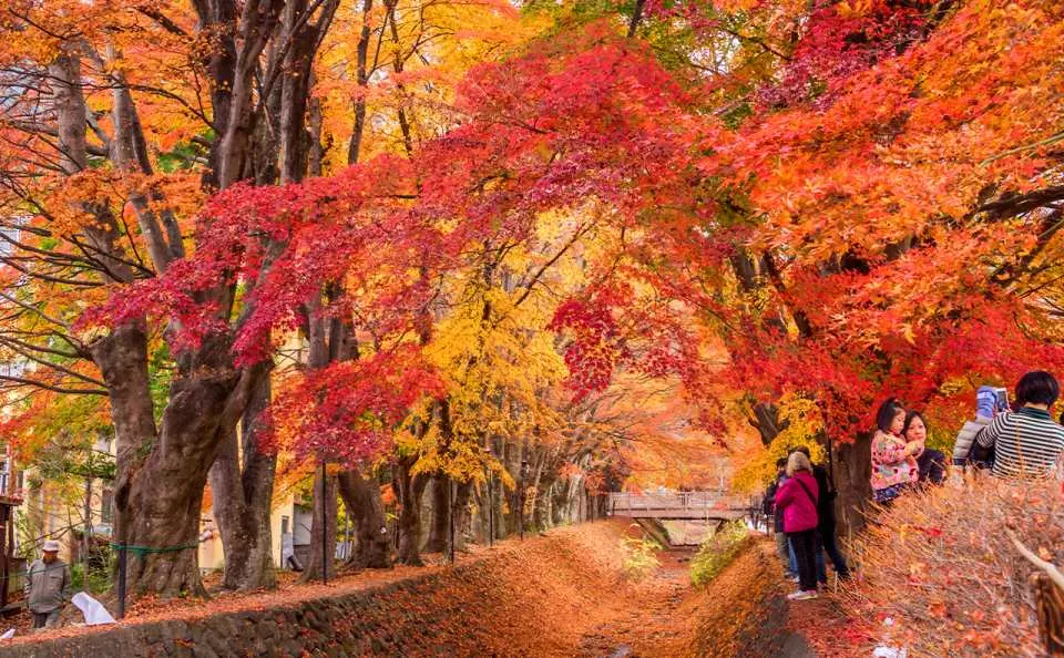 富士山雙湖溫泉一日遊，kkday一日遊懶人包 @女子的休假計劃