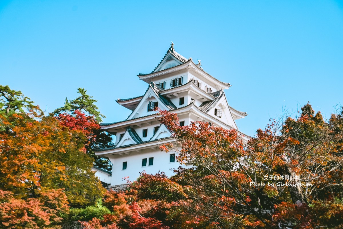 飛驒高山、白川鄉、郡上八幡:歷史與傳統之旅古都巡禮 @女子的休假計劃 飛驒高山、白川鄉、郡上八幡:歷史與傳統之旅古都巡禮 @女子的休假計劃
