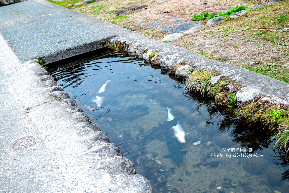 飛驒高山、白川鄉、郡上八幡:歷史與傳統之旅古都巡禮 @女子的休假計劃 飛驒高山、白川鄉、郡上八幡:歷史與傳統之旅古都巡禮 @女子的休假計劃
