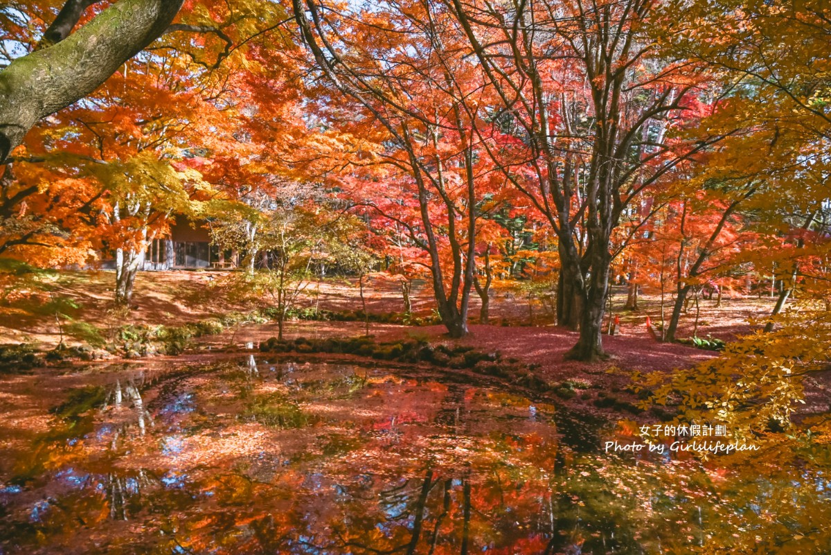 輕井澤一日遊｜ 白系瀑布・雲場池・ 舊輕井澤銀座街道・輕井澤OUTLET(1人成團) @女子的休假計劃