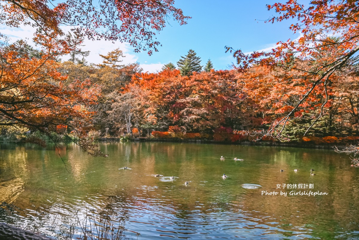 輕井澤一日遊｜ 白系瀑布・雲場池・ 舊輕井澤銀座街道・輕井澤OUTLET(1人成團) @女子的休假計劃