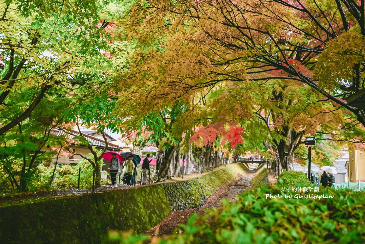 富士山雙湖溫泉一日遊，kkday一日遊懶人包 @女子的休假計劃