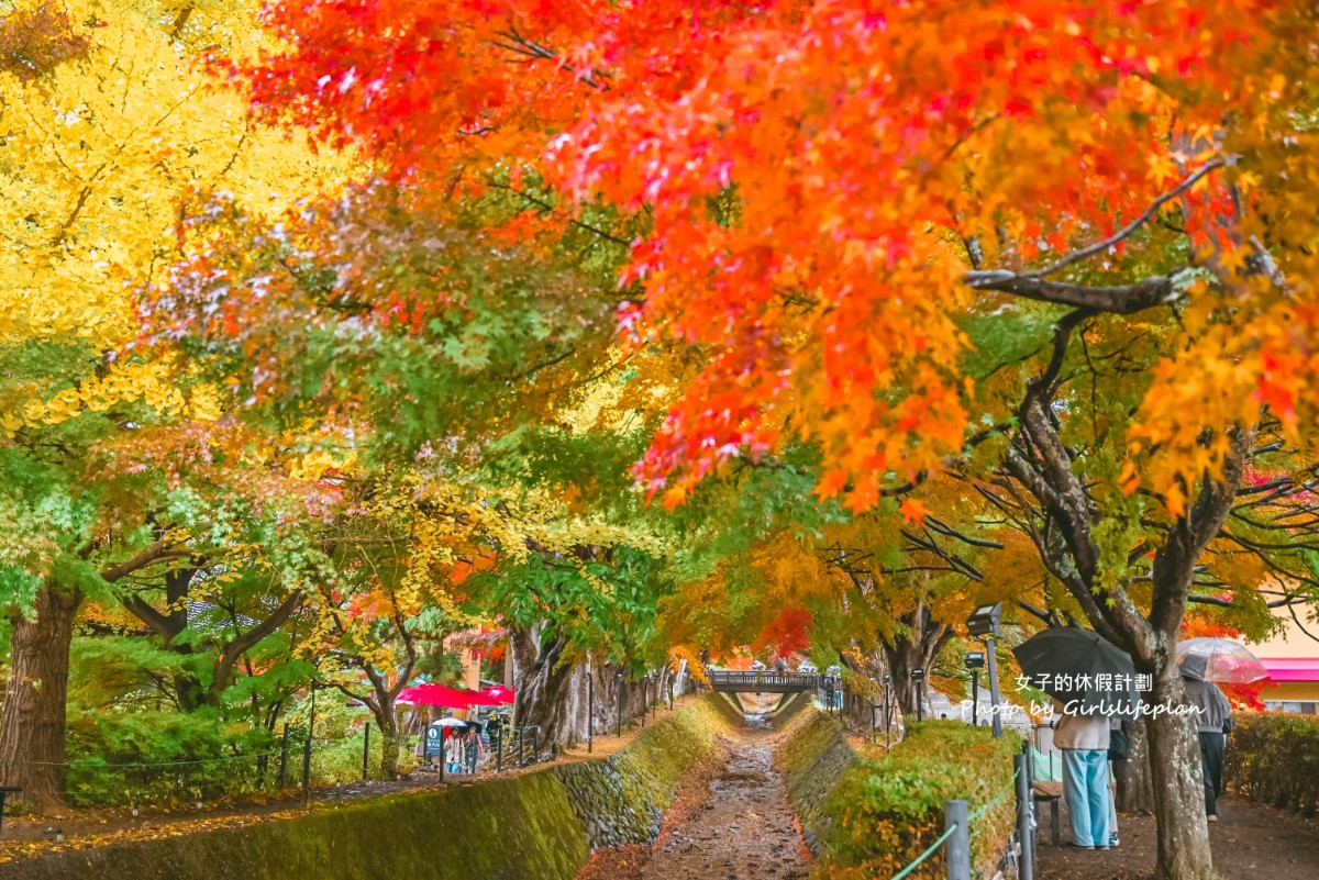 富士山雙湖溫泉一日遊，kkday一日遊懶人包 @女子的休假計劃