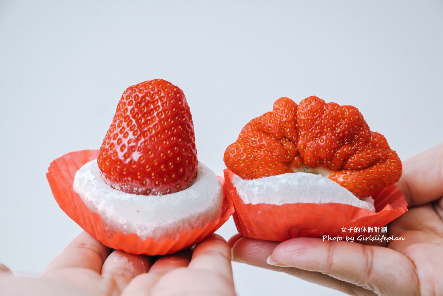 不老客家傳統麻糬|季節限定40元草莓大福(外帶) @女子的休假計劃 不老客家傳統麻糬|季節限定40元草莓大福(外帶) @女子的休假計劃