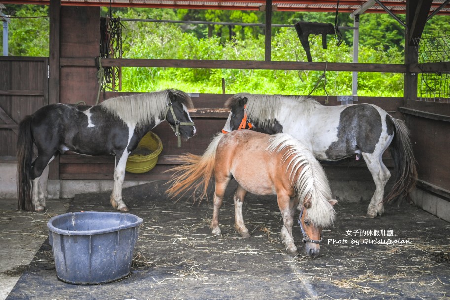 九州大分自由行｜農家景觀餐廳 Bebenko還能餵食小動物 @女子的休假計劃