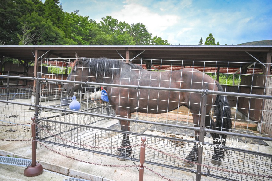 九州大分自由行｜農家景觀餐廳 Bebenko還能餵食小動物 @女子的休假計劃