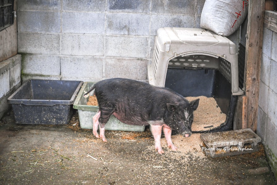 九州大分自由行｜農家景觀餐廳 Bebenko還能餵食小動物 @女子的休假計劃