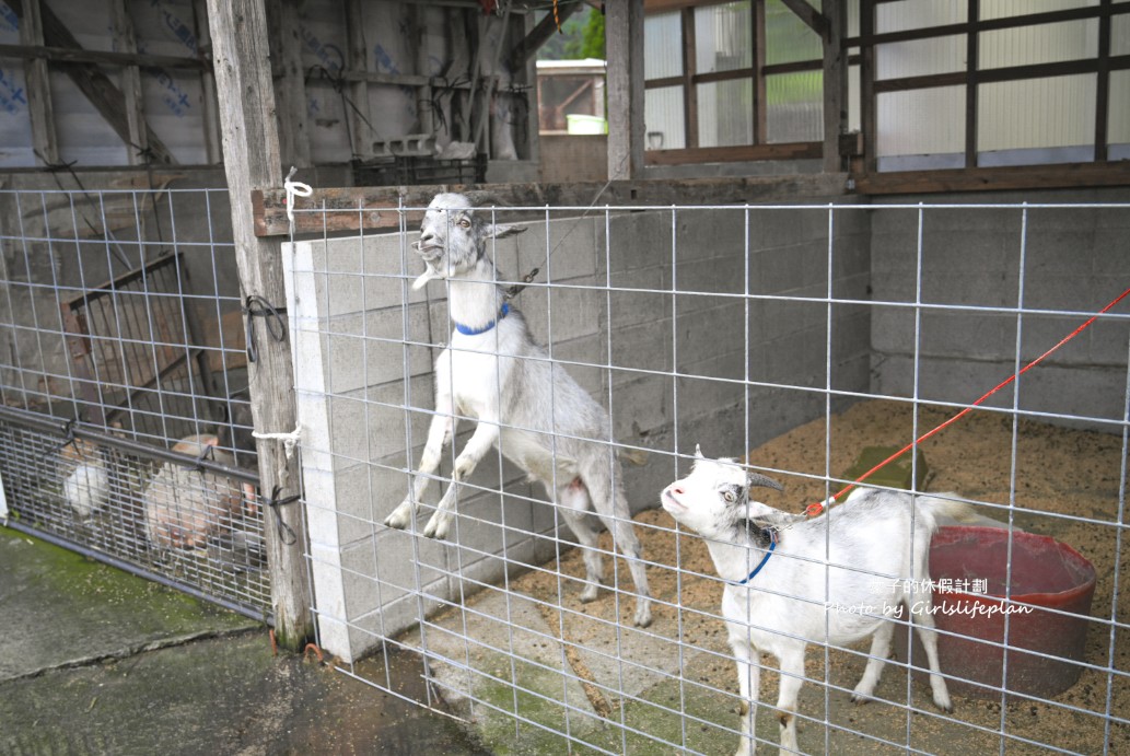 九州大分自由行｜農家景觀餐廳 Bebenko還能餵食小動物 @女子的休假計劃