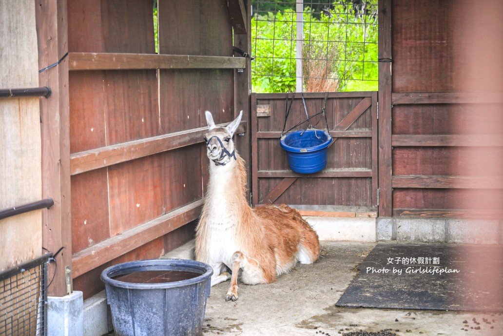 九州大分自由行｜農家景觀餐廳 Bebenko還能餵食小動物 @女子的休假計劃