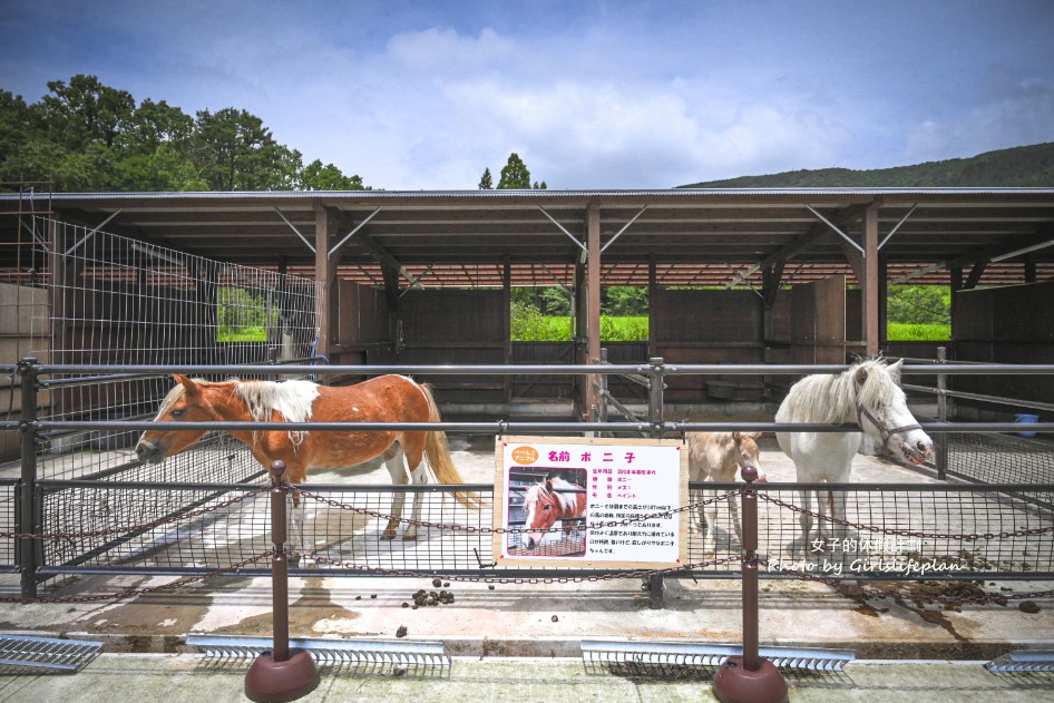 九州大分自由行｜農家景觀餐廳 Bebenko還能餵食小動物 @女子的休假計劃