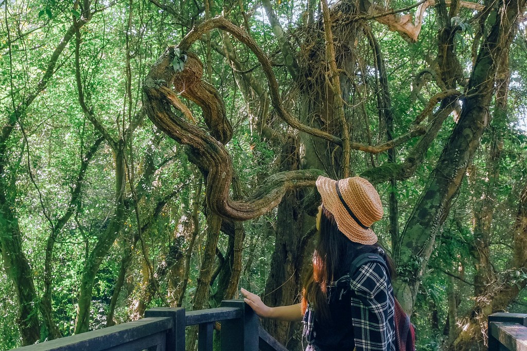 【新竹景點】青蛙石天空步道：遁入萌蛙的世界，在玻璃彩虹步道敲醒幸福的鐘聲。 @女子的休假計劃