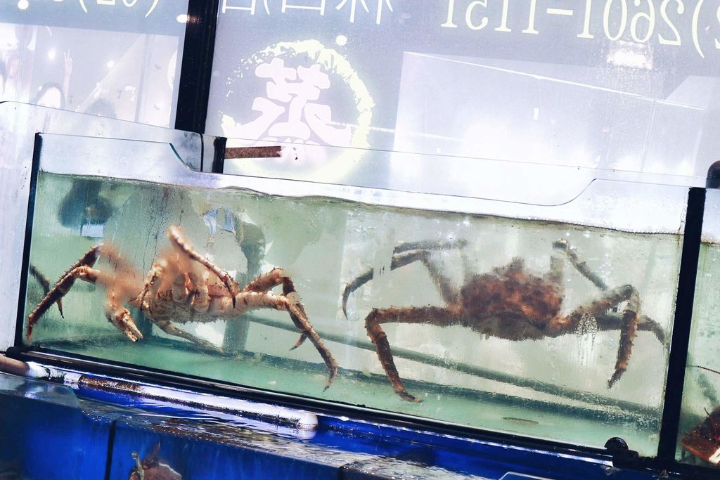 蒸翻天海鮮蒸氣火鍋餐廳，超霸氣威猛海鮮塔/林口美食【林口海鮮餐廳】 @女子的休假計劃