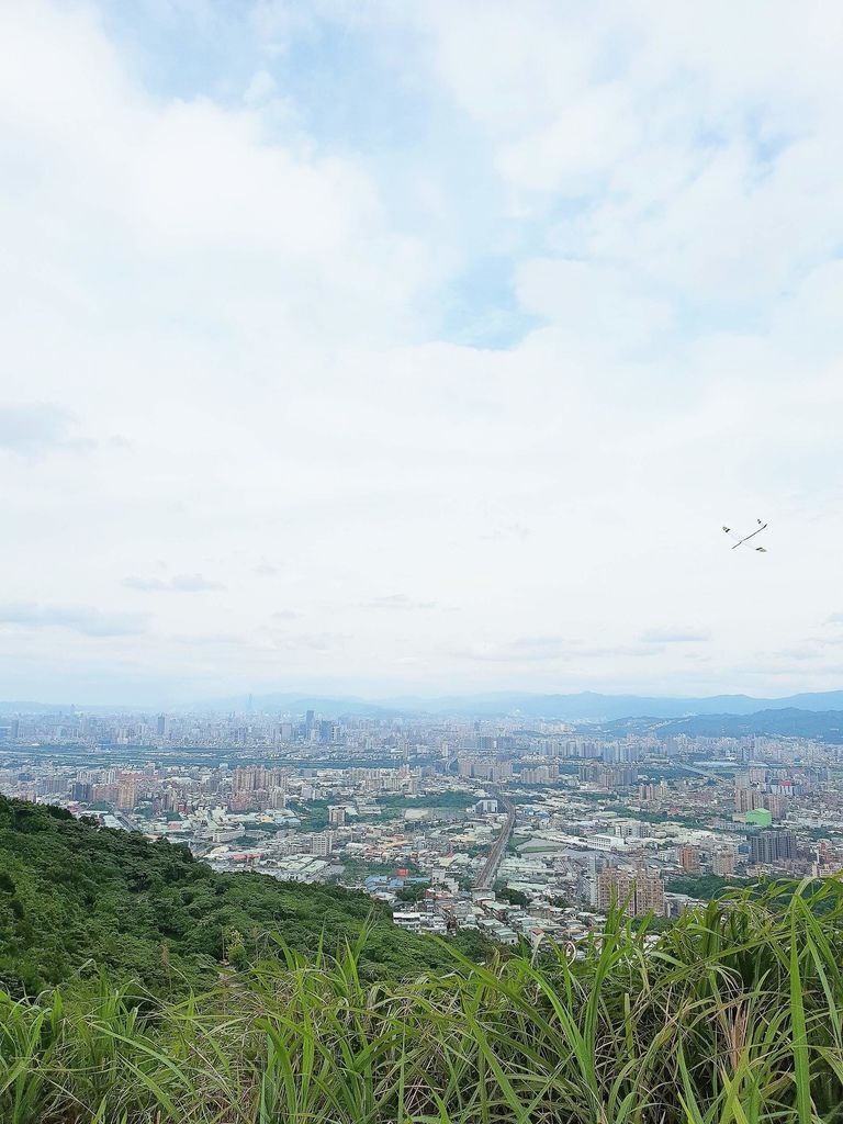 【新北秘境】樹林三角埔頂山 /IG打卡景點 @女子的休假計劃