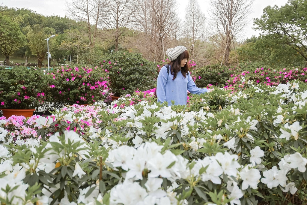 免費繡球花景點｜大安森林公園城市浪漫春色搭捷運就到(交通) @女子的休假計劃