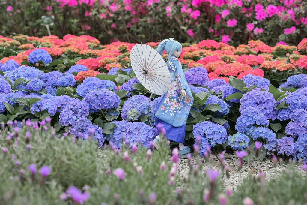 免費繡球花景點｜大安森林公園城市浪漫春色搭捷運就到(交通) @女子的休假計劃